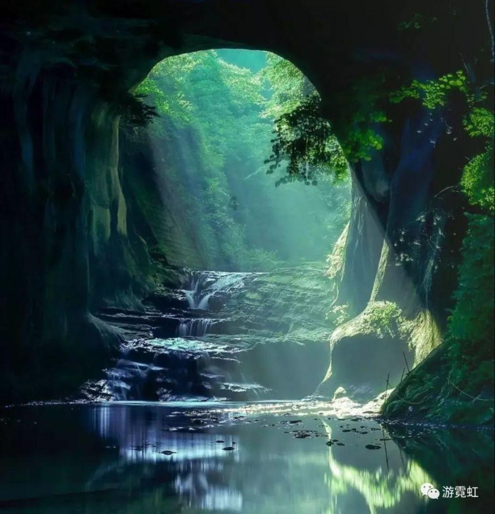 动物拼一拼