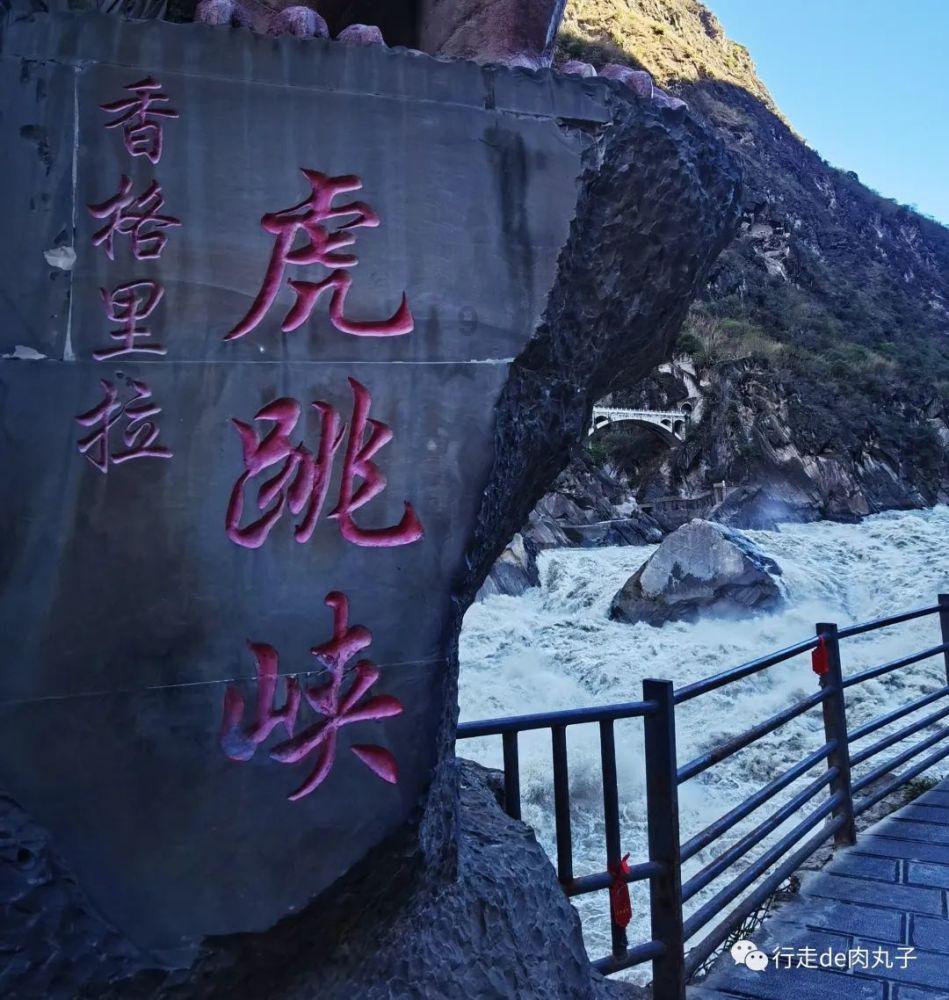 口袋森林世界杯传球大赛
