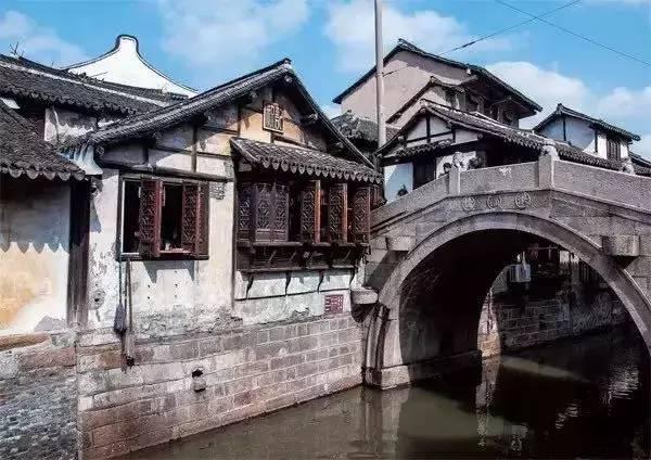 莘县林长制:绿色发展道路上的新征程