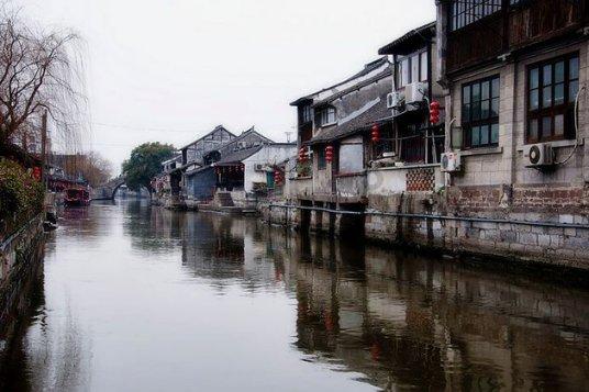 眼镜蛇秘密行动